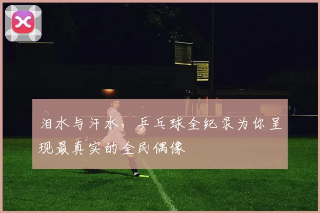 泪水与汗水,乒乓球全纪录为你呈现最真实的全民偶像